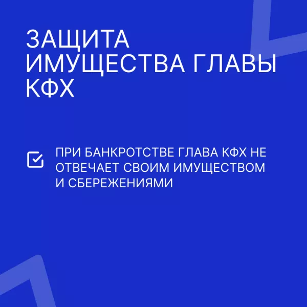 Защита имущества главы КФХ при банкротстве